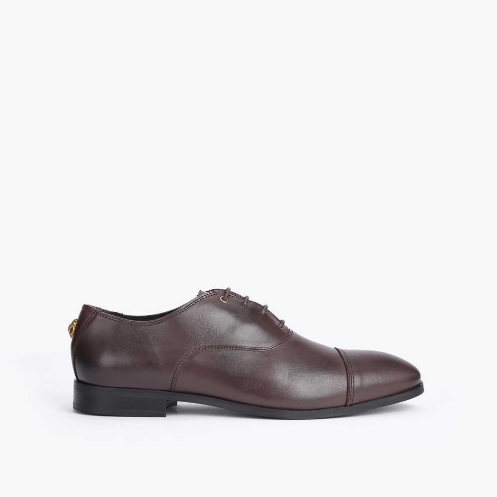 Loafers Kurt Geiger Harris Oxford Hombre Marrom | Mexico-78063499