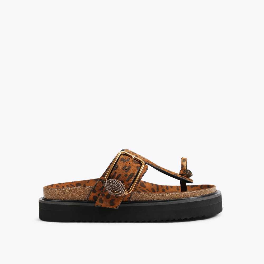 Sandalias de Diapositivas Kurt Geiger Eagle Hebilla T-bar Mujer Marrom | Mexico-10782969