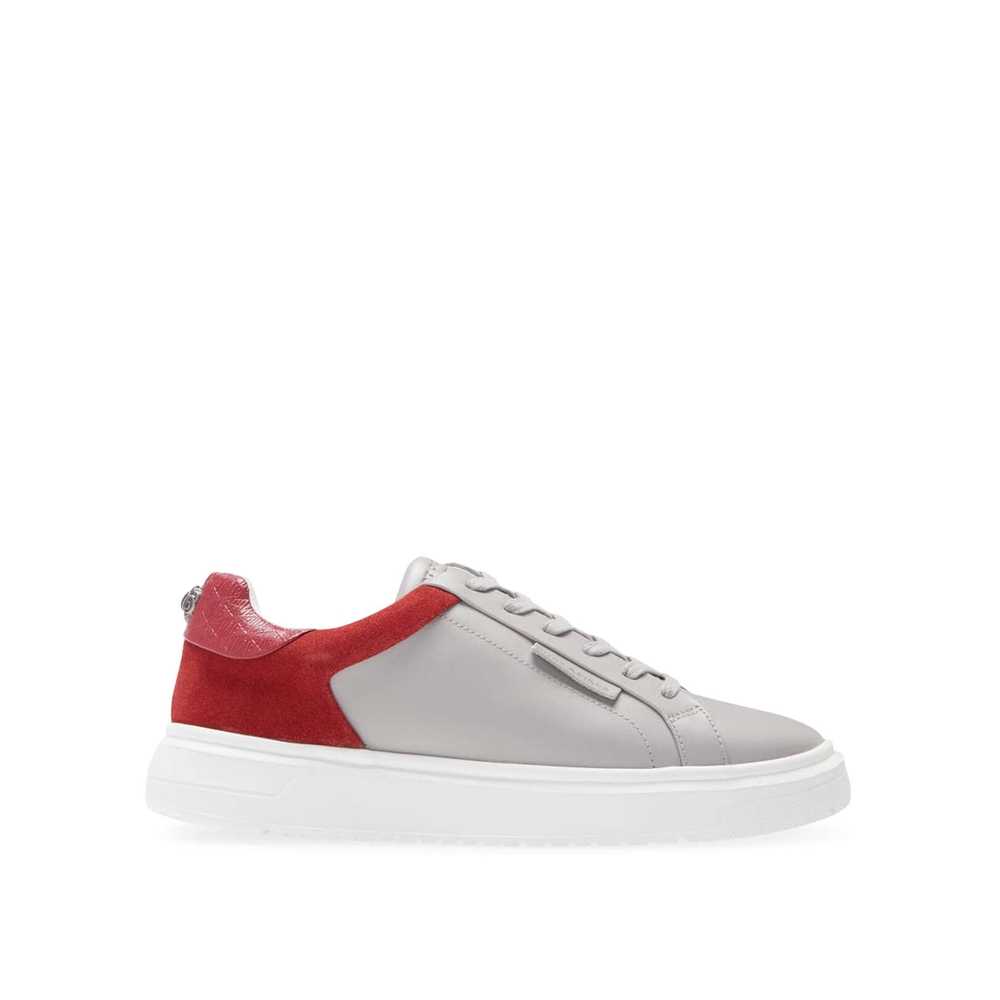 Tenis Kurt Geiger Noah Eagle Mix Hombre Grises | Mexico-30248659